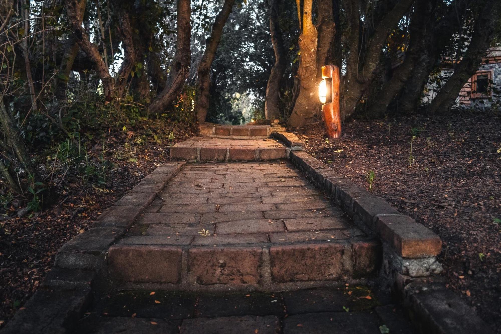 Posada La Escondida Villa Pehuenia Buitenkant foto